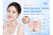 Nám da hình thành như thế nào? Nguyên nhân, các dạng nám và routine chăm sóc đúng cách
