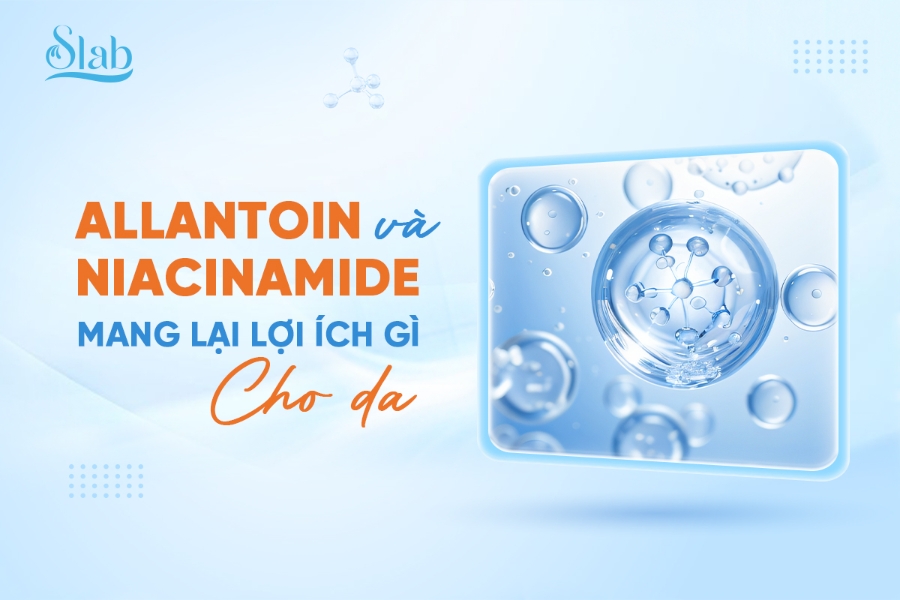 Allantoin và Niacinamide trong Kem Oli Lab mang lại lợi ích gì cho da?
